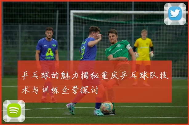 乒乓球的魅力揭秘重庆乒乓球队技术与训练全景探讨