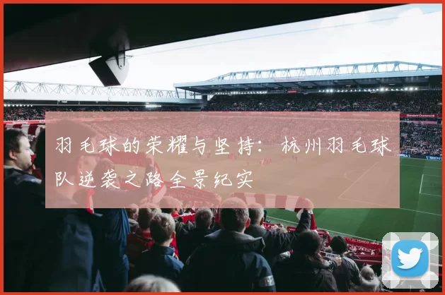 羽毛球的荣耀与坚持：杭州羽毛球队逆袭之路全景纪实