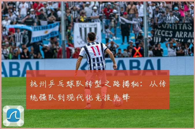 杭州乒乓球队转型之路揭秘：从传统强队到现代化竞技先锋