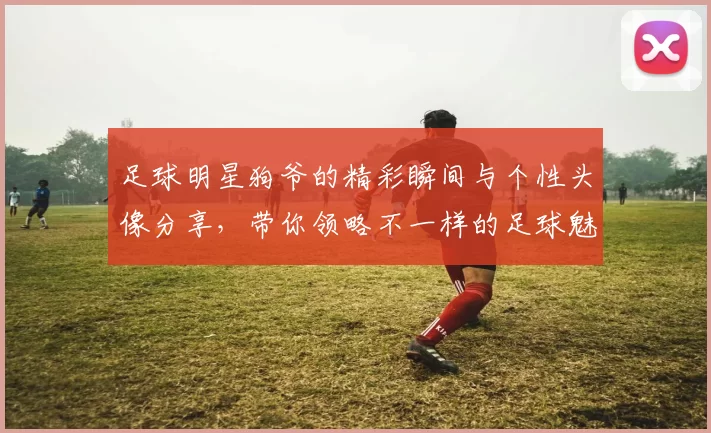 足球明星狗爷的精彩瞬间与个性头像分享，带你领略不一样的足球魅力与风采