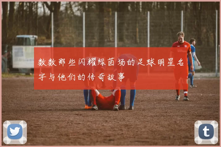 数数那些闪耀绿茵场的足球明星名字与他们的传奇故事