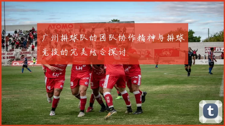 广州排球队的团队协作精神与排球竞技的完美结合探讨