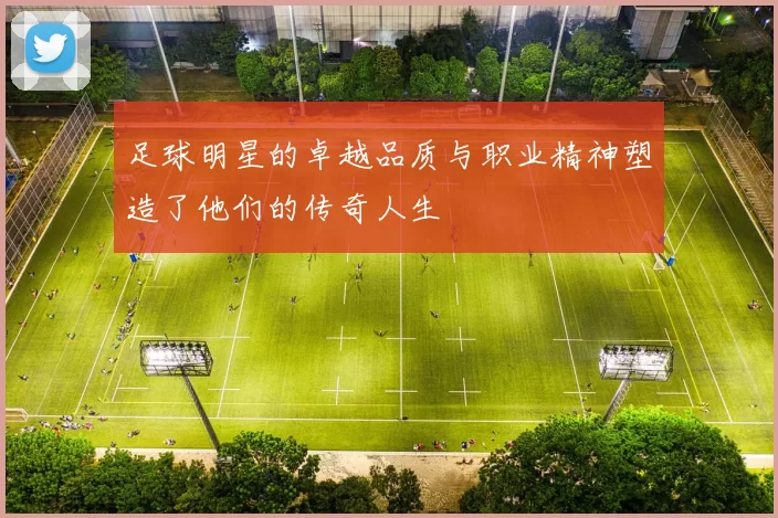 足球明星的卓越品质与职业精神塑造了他们的传奇人生