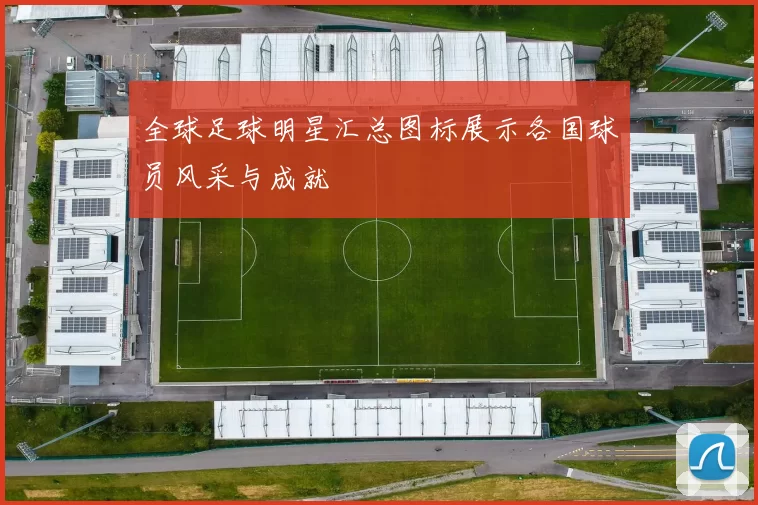 全球足球明星汇总图标展示各国球员风采与成就