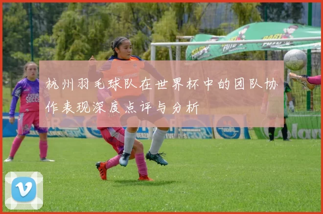 杭州羽毛球队在世界杯中的团队协作表现深度点评与分析