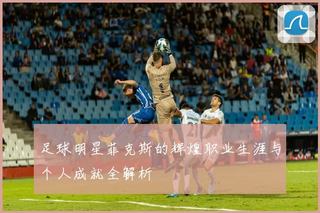 足球明星菲克斯的辉煌职业生涯与个人成就全解析