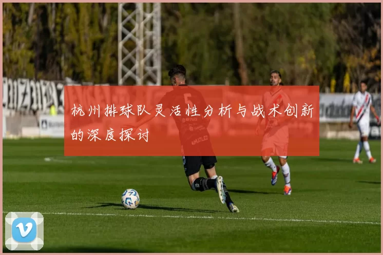 杭州排球队灵活性分析与战术创新的深度探讨