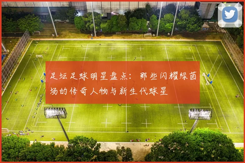 足坛足球明星盘点：那些闪耀绿茵场的传奇人物与新生代球星