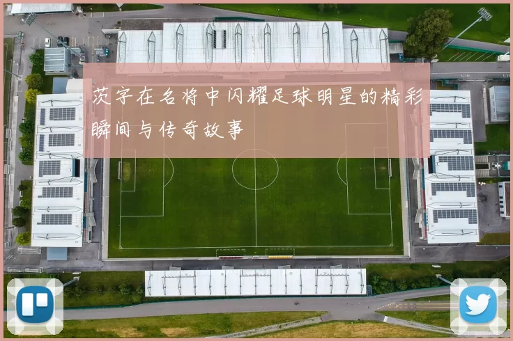 茨字在名将中闪耀足球明星的精彩瞬间与传奇故事