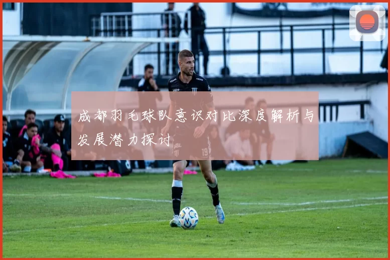 成都羽毛球队意识对比深度解析与发展潜力探讨
