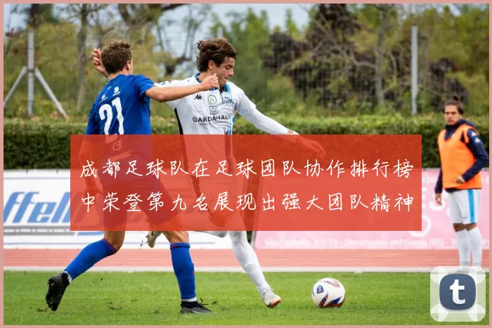 成都足球队在足球团队协作排行榜中荣登第九名展现出强大团队精神与默契配合