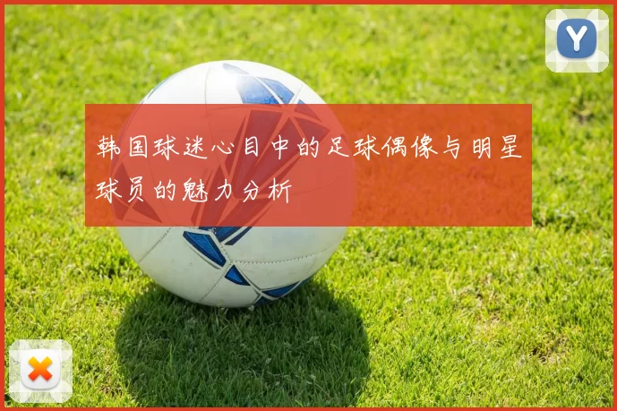 韩国球迷心目中的足球偶像与明星球员的魅力分析