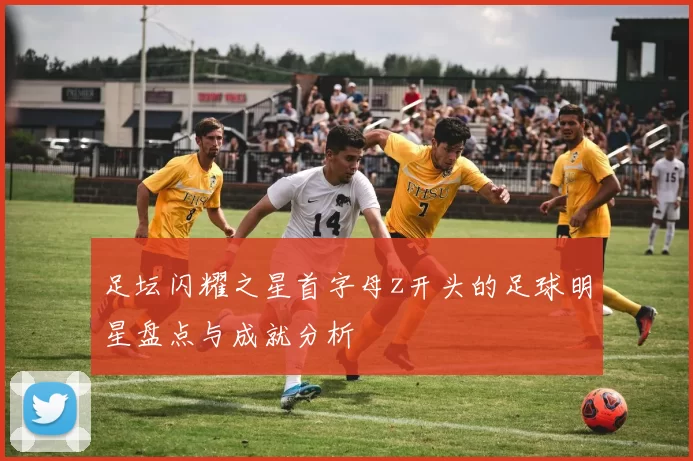 足坛闪耀之星首字母z开头的足球明星盘点与成就分析