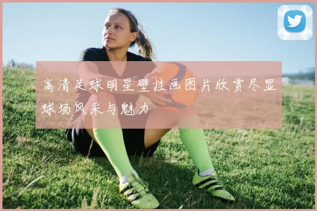 高清足球明星壁挂画图片欣赏尽显球场风采与魅力