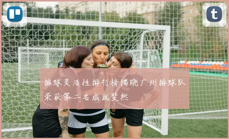 排球灵活性排行榜揭晓广州排球队荣获第二名成就斐然