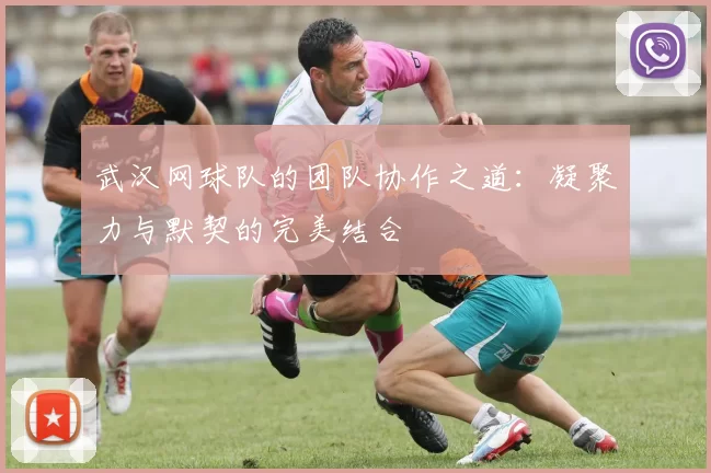 武汉网球队的团队协作之道：凝聚力与默契的完美结合