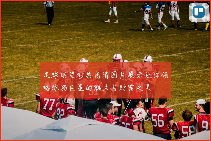 足球明星钞票高清图片展示让你领略球场巨星的魅力与财富之美