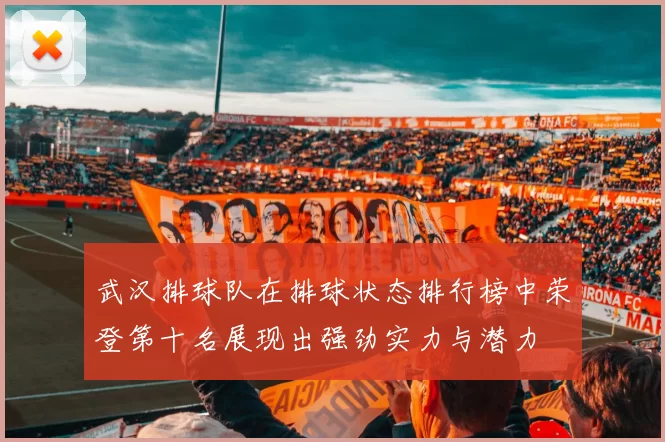 武汉排球队在排球状态排行榜中荣登第十名展现出强劲实力与潜力
