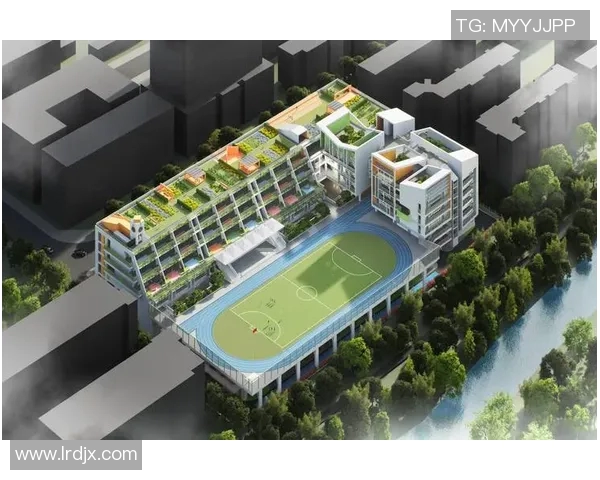 以体育场为核心的城市发展与公共设施提升研究分析