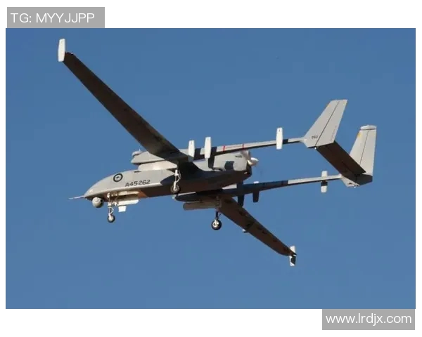 上海飞盘队反击战术解析与未来发展展望