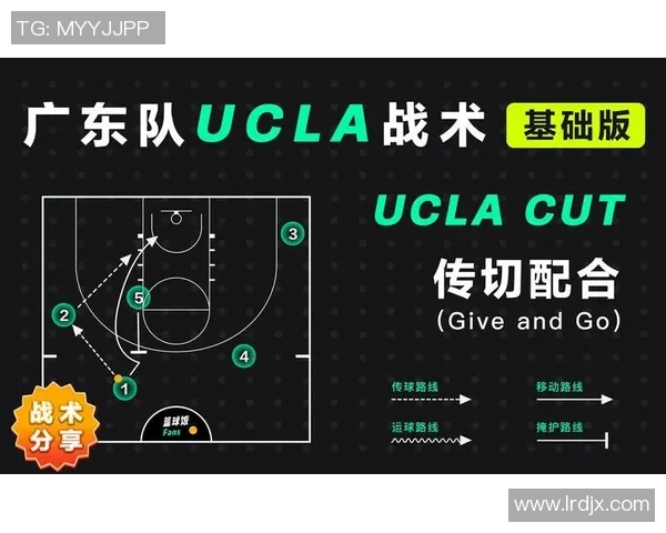 广州羽毛球队与深圳羽毛球队赛后分析力量对比与战术探讨