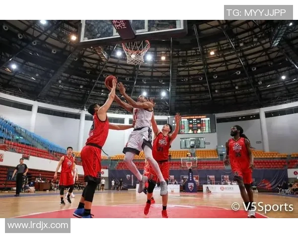 武汉网球队区域防守革新探索与实践分析全景报道