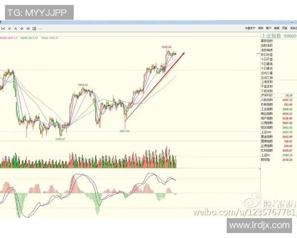深度分析LNG战队的防守策略与战术布局探讨