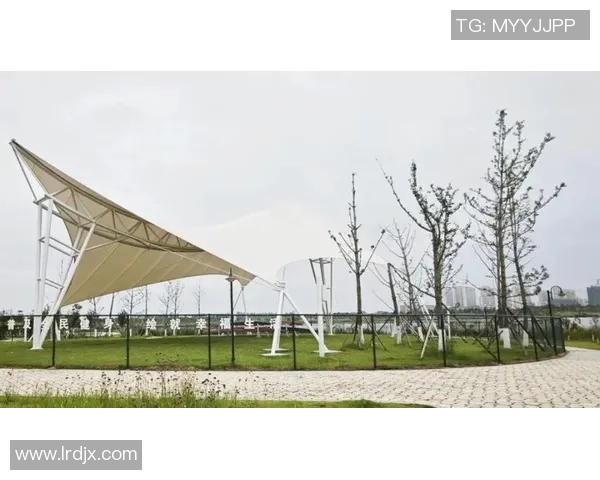 打造城市水上乐园体验中心 提升全民健身与休闲娱乐新空间