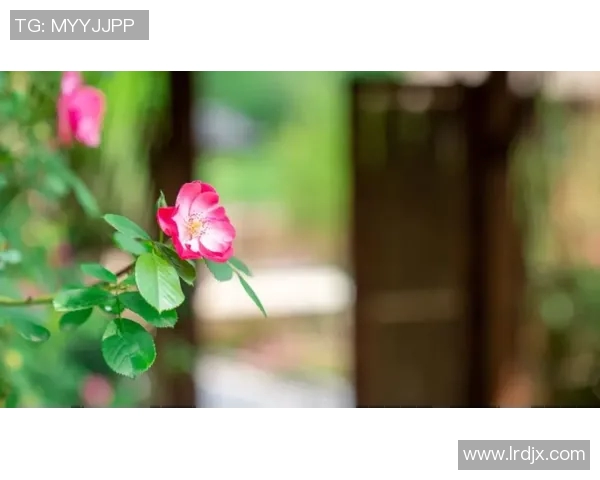 果园之美：自然与人文融合的乐园