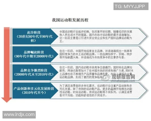 球鞋文化的崛起与演变：从运动装备到时尚象征的多元化发展探索