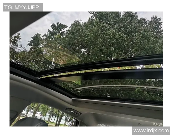 武汉网球队技术表现分析及其对比赛成绩的影响研究 武汉网球队技术表现分析及其对比赛成绩的影响研究